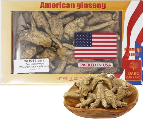 Version 1.0.0 Raíz ginseng americano cultivado Wisconsin 4oz DABC OAK LAND