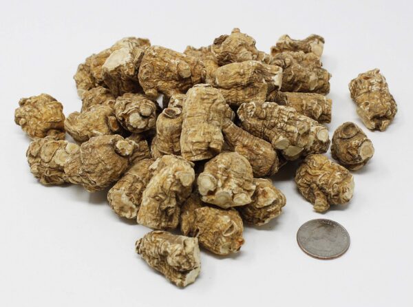 Raíz ginseng americano DABC OAK LAND presentación 16oz