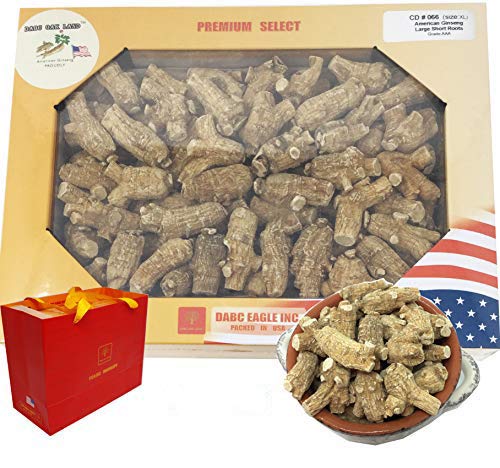 Raíz de ginseng americano DABC Oak Land Wisconsin caja XL