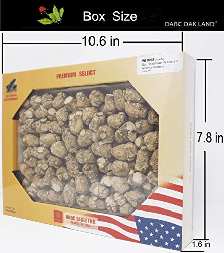 Raíz de ginseng americano seleccionada a mano DABC OAK LAND