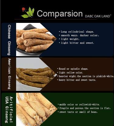 Ginseng DABC OAK LAND Wisconsin raíz cultivada natural