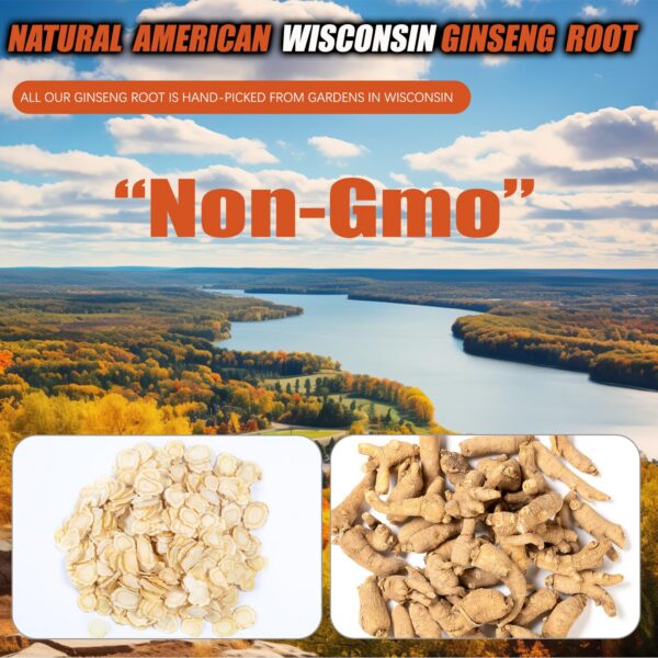 Raíz de ginseng americano para porridge y té