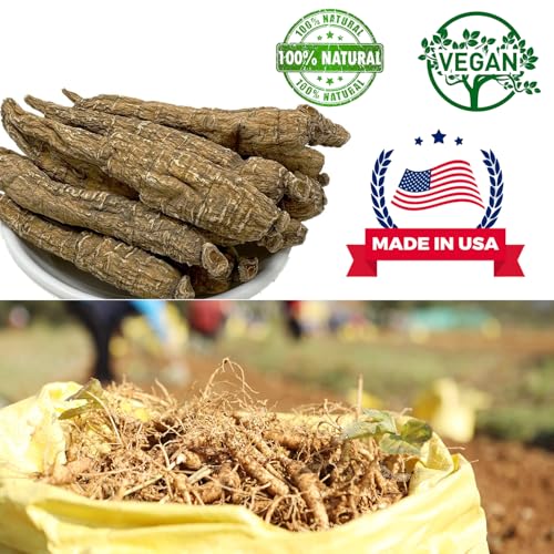 Raíz de ginseng americano Wisconsin close-up raíz seca