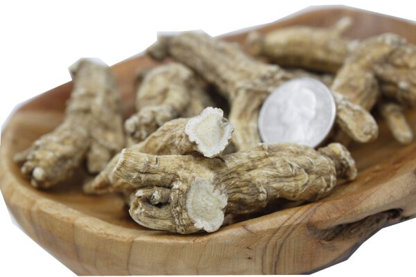 Raíz Ginseng americano cultivo Wisconsin tamaño grande paquete 16oz