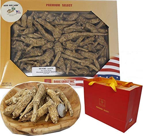Raíz ginseng americano Wisconsin mediana y grande empaque DABC OAK LAND