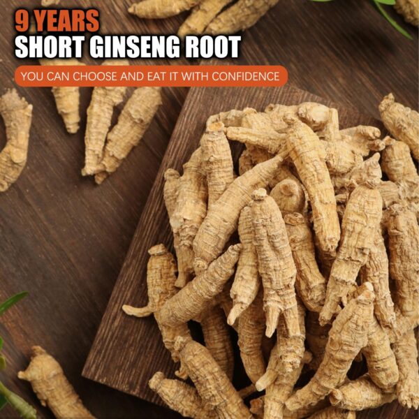 Raíz de ginseng corto 9 años para recetas y sopas