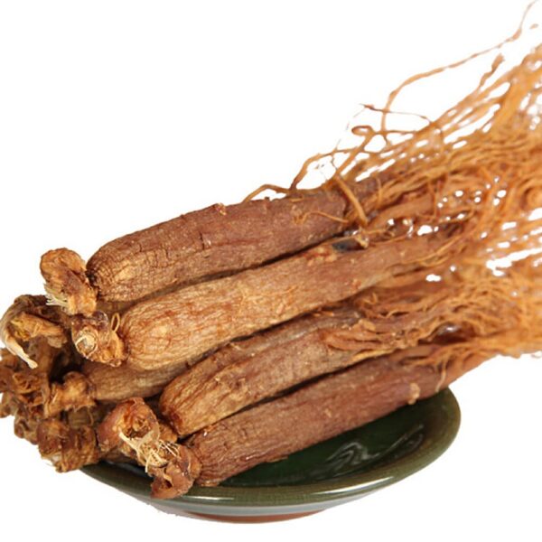 Raíz de ginseng rojo coreano orgánico 16 años 1000g