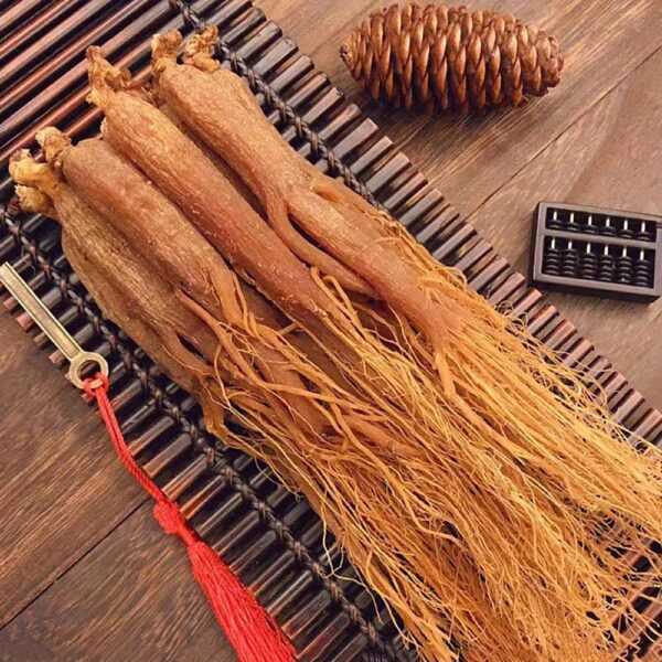 Raíz ginseng rojo medicinal tradicional 16 años Corea