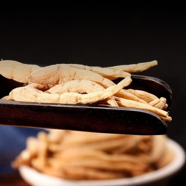 Raíz herbal Faalsestarwort calidad premium origen China