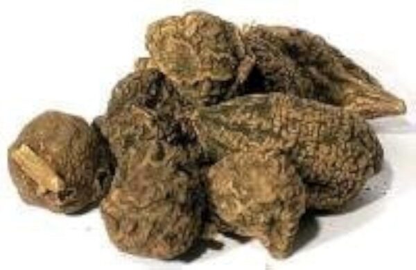 Raíz High John the Conqueror Bulk Herbs 1 onza paquete