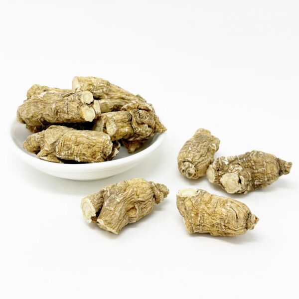 Raíz larga pequeña Ginseng Wisconsin DABC OAK LAND