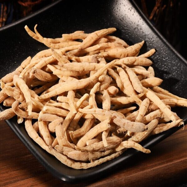 Raíz natural Faalsestarwort para té y suplementos