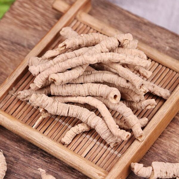 Raíz natural Thinleaf Milkwort calidad premium en paquete sellado