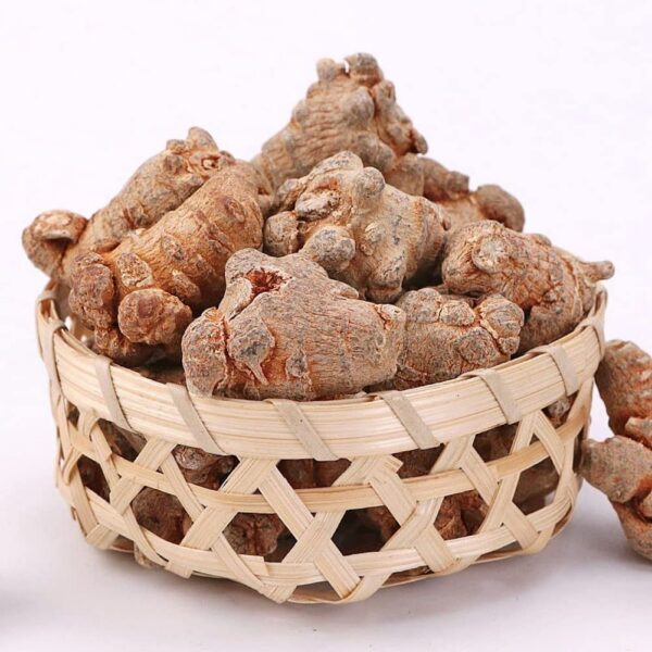 Version 1.0.0 Raíz de notoginseng natural secada al sol para medicina herbolaria