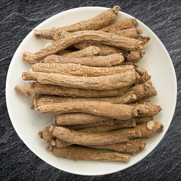 Raíz pequeña y larga de Panax Ginseng premium Wisconsin