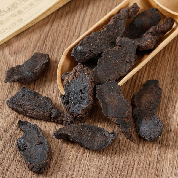 Version 1.0.0 Primer plano de raíz seca de rehmannia glutinosa para uso medicinal