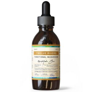 RAW Forest Foods Elixir de Hongos Funcionales Chai Invierno