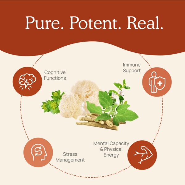 Cápsulas Turkey Tail suplementarias para apoyo inmune