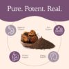 Suplemento vegano de hongo chaga certificado orgánico