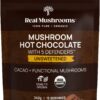Version 1.0.0 Real Mushrooms chocolate caliente sin azúcar mezcla 5 hongos