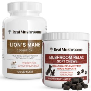 Version 1.0.0 Paquete Real Mushrooms Melena de León y Golosinas Mascotas