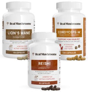 Version 1.0.0 Pack de suplementos Real Mushrooms con Lion’s Mane, Reishi y Cordyceps
