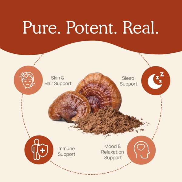 Suplemento vegano de polvo de reishi Real Mushrooms