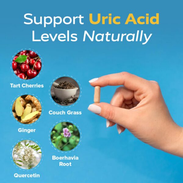 Redd Remedies Gouch! cápsulas apoyo inflamatorio saludable