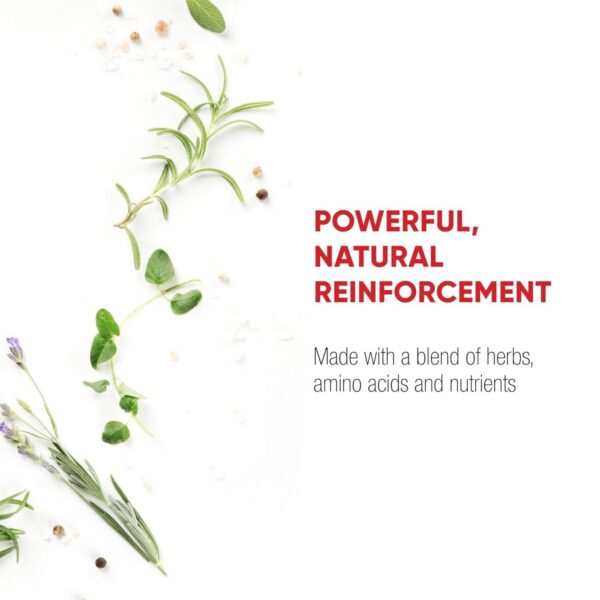 Redd Remedies Nerve Shield apoyo a nervios saludables