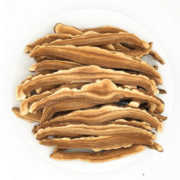 Reishi japonés para bienestar y salud Greenlike