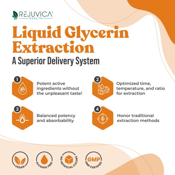 Extracción avanzada de Ashwagandha con procesos multietapa