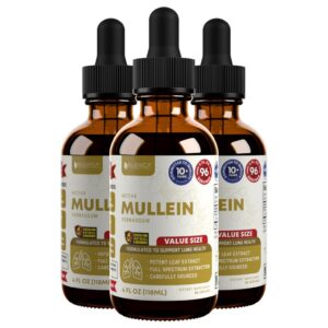 Version 1.0.0 pack de mullein extracto en frasco