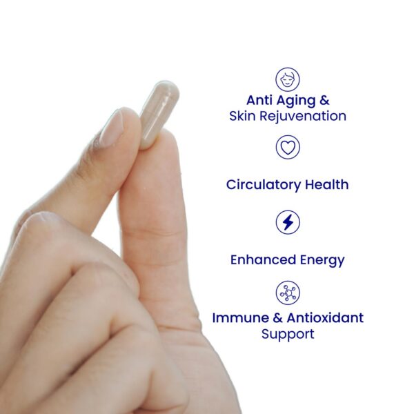 Cápsulas de Relumins Resveratrol 600 mg