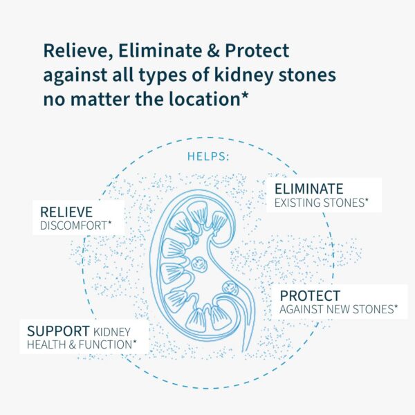 Version 1.0.0 Renavive apoya la función y salud renal naturalmente