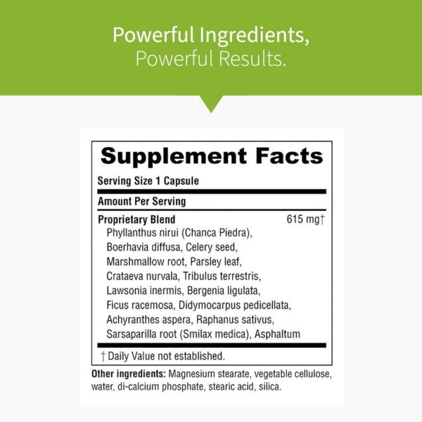 Version 1.0.0 Renavive suplemento natural para eliminar cálculos renales