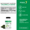 Detalle Renew Actives cápsulas chlorella en blister