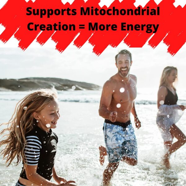 Research Labs PQQ ingredientes