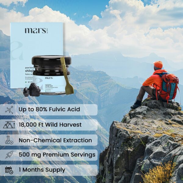 Version 1.0.0 Shilajit Mars Himalaya resina pura para resistencia física