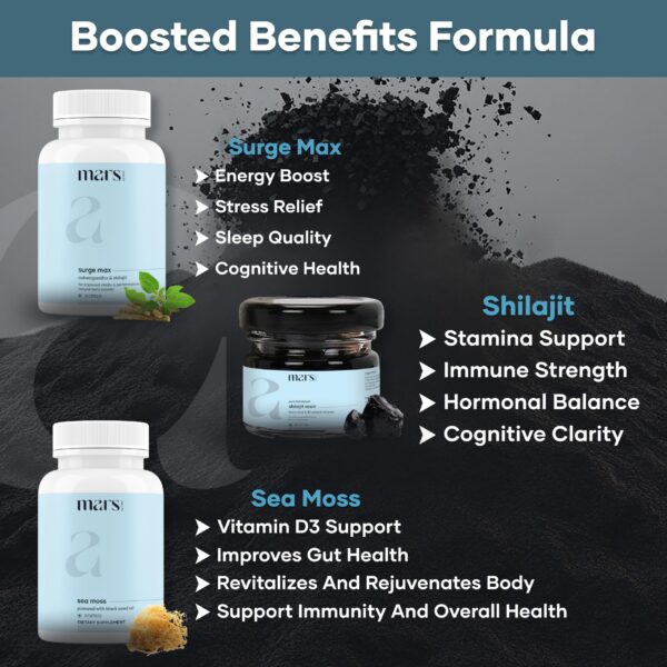 Version 1.0.0 Resina pura Shilajit Himalaya Mars GHC