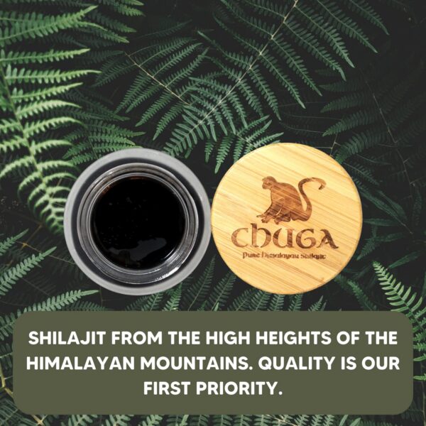 Version 1.0.0 Resina pura shilajit Himalaya suplemento natural Chuga