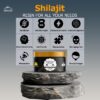 Resina Shilajit Himalaya para bienestar y resistencia