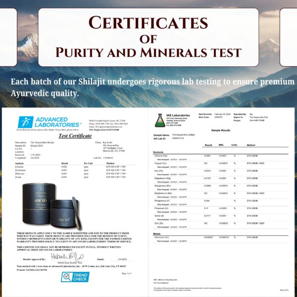 Resina-Shilajit-Himalaya-negro-60g-caja