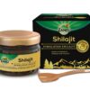 Version 1.0.0 Resina Shilajit Himalaya Zandu 20g frasco natural ayurvédico