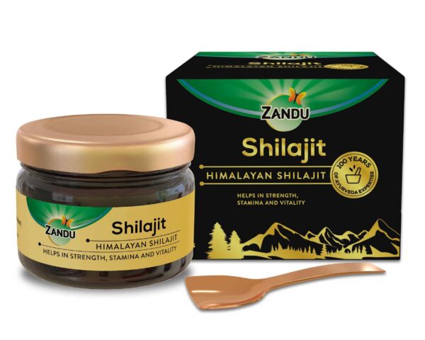 Version 1.0.0 Resina Shilajit Himalaya Zandu 20g frasco natural ayurvédico