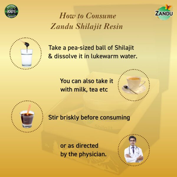Resina Shilajit natural Zandu Himalaya fuerza y bienestar holístico