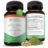 Version 1.0.0 Suplemento Return Healthy Artemisia Trinity cápsulas naturales para salud intestinal