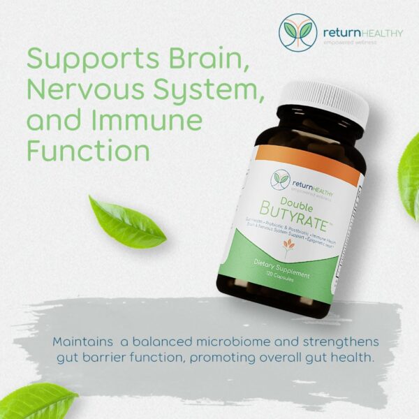 Return Healthy suplemento probiótico y postbiótico para digestión