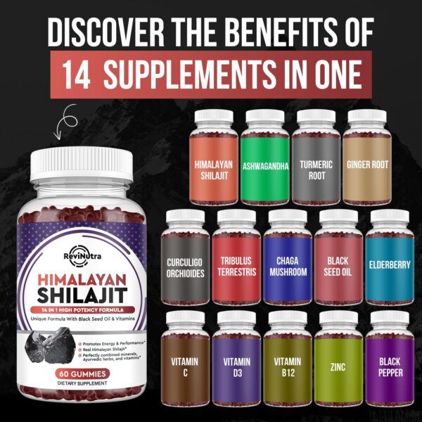 Version 1.0.0 Lista de ingredientes de Shilajit Gummies
