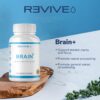Version 1.0.0 Revive MD Brain Plus cápsulas vegetarianas