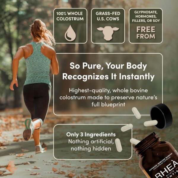 Interior de la caja de colostro bovino